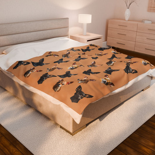 Chihuahua Charm Velveteen Plush Blanket - Fawn and Black Chihuahua Design